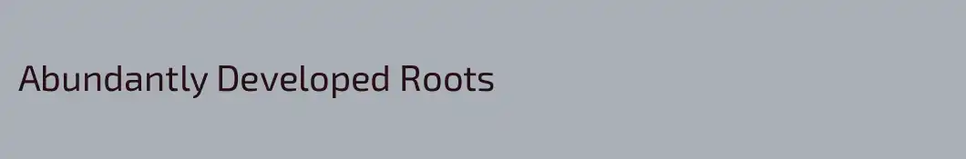 Abundantly Developed Roots 